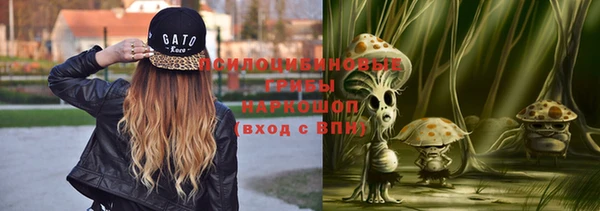 ПСИЛОЦИБИНОВЫЕ ГРИБЫ Верхнеуральск
