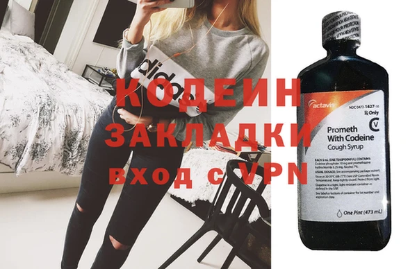 хмурый Верея