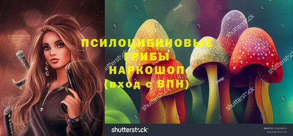 ПСИЛОЦИБИНОВЫЕ ГРИБЫ Верхнеуральск