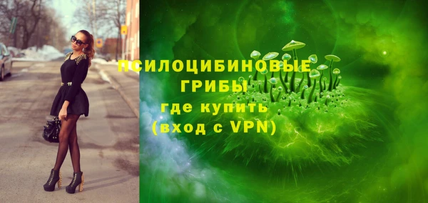 ПСИЛОЦИБИНОВЫЕ ГРИБЫ Верхнеуральск