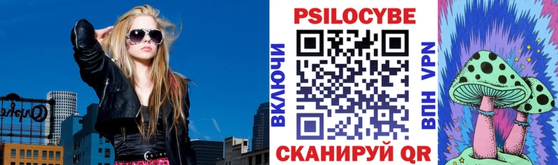 Псилоцибиновые грибы прущие грибы  Севастополь 